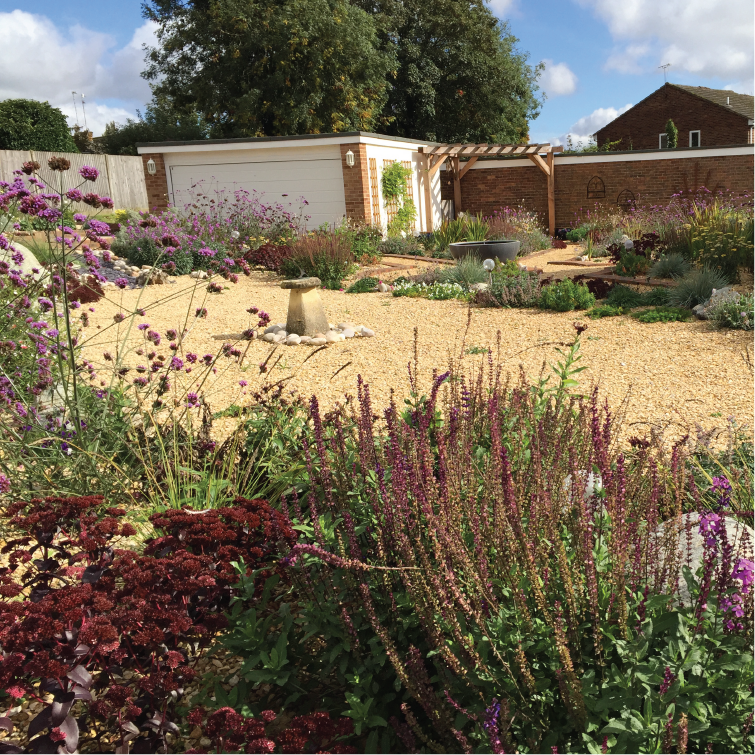 Contemporary front garden mediterranean