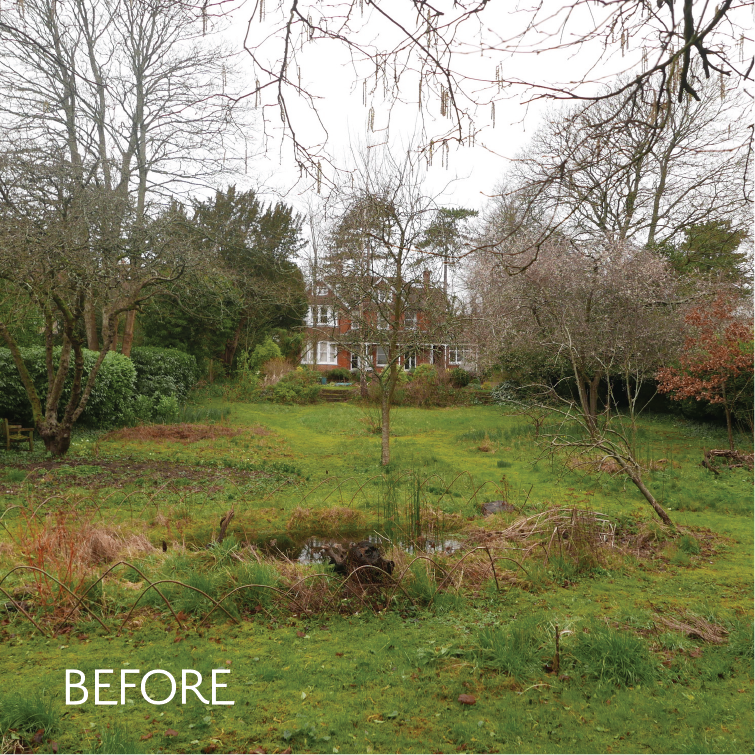 Large Town Garden view towards house Large Town Garden view towards house
