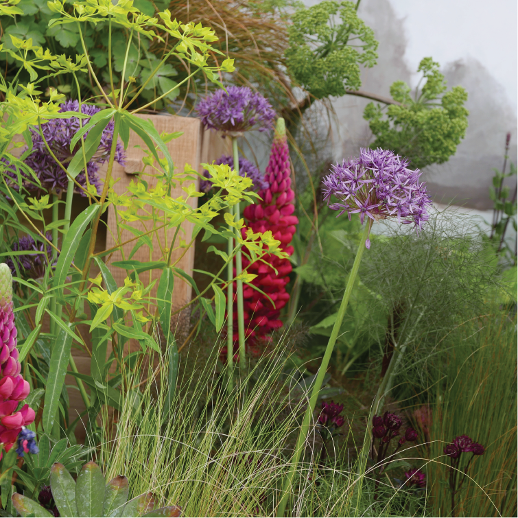 Chelsea Flower Show 2019 Oxenwood 4